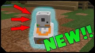 ALL NEW HYPIXEL COMPANIONS! ( Hypixel Update )