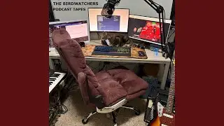 Chromatic Adaptation (Bread and Circus)
