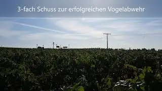 Purivox Starenabwehr mit Gas-Kanone / Knallschreckger&auml;t