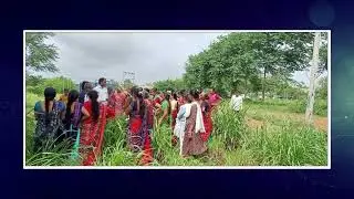 Fodder Crop Unit at KVK, S.D. Agricultural University, Deesa (Banaskantha), Gujarat