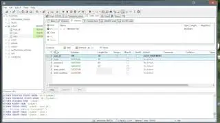 10. Creating a Database with Heidi SQL (Optional)