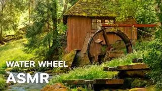 🍃 ASMR Лесное Водяное Колесо 4K | Текущая Вода, Солнечный Свет и Глубокое Расслабление