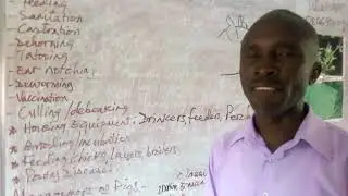 ANIMAL HUSBANDRY  SS1 LESSON 4