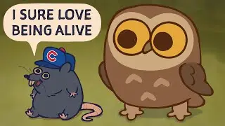 Freaks of Nature: the Owl