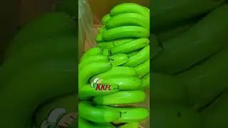 Super Quality Banana
