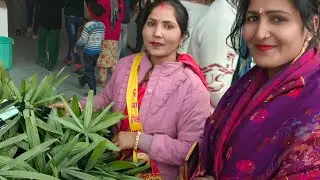 Nisha official43 लाइव है!