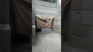 PVC toy gun denatured alcohol gun, shotgun inspired, rapid test