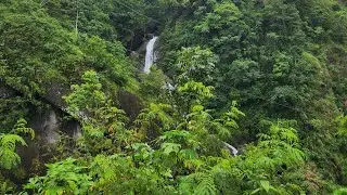 waterfall in tuba benguet #travel
