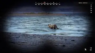 (Wolf Out of the Sea?) Way of the Hunter