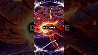Quantum Consciousness: Is Your Brain Entangled?