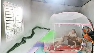 The haunting fear of a girl who was sleeping when two snakes crawled into thehouse.