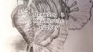 Drawing a Realistic Turkey (Thanksgiving Special)