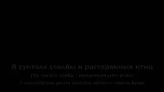 Я сошла с ума (Ya soshla s uma)  Lyrics, transliteration and English translation