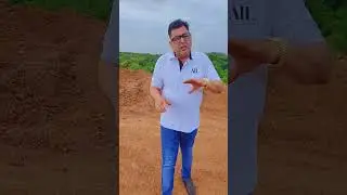 Affordable plot 9818944561 #affordable