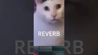 huh cat meme sound effects #catmusic #huh #confused #whitecat #soundeffects #cutecat #flp_project