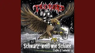 Forza Sge