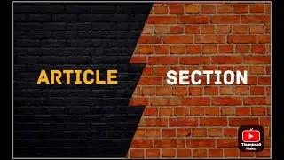 What is the difference between Article and Section