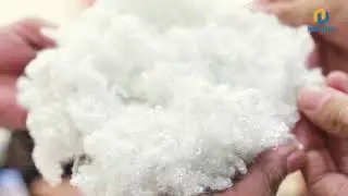 Hollow Conjugated Siliconized Polyester Staple Fiber - Part 2