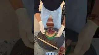 Very Simple How To Growing Succulent Plants For The Beginners | Succulents | 다육식물 #683