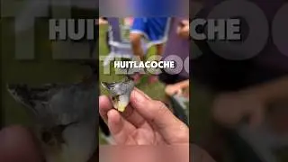 Huitlacoche: Kaala Bhutta jo Mexico me Luxury Food hai!😱