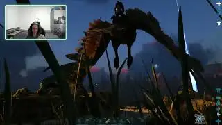 Wyverns?! | Ark Valguero #3
