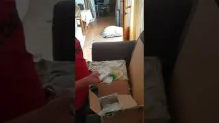 Nintendo lite Switch for Christmas