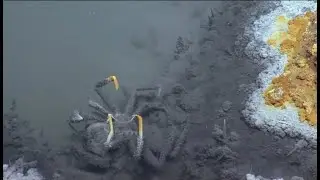 Brine Pool, Laut di bawah laut