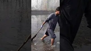 How to remove fish from river nets #viralvideo #fish #dinner #catchandrelease #flyfish #murrel #flyr
