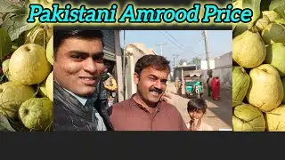 “आज पाकिस्तान में अमरूद का क्या रेट है? |Aaj Pakistan Mein Amrood Ka Rate Kya Hai?Fresh Price Today|