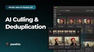 Отсеивание и дедупликация данных с помощью ИИ | Что нового в Peakto 2.6