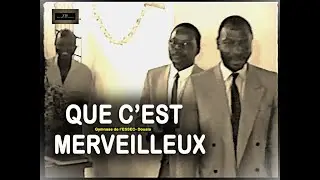 ZTF : QUE CEST MERVEILLEUX