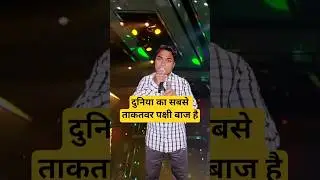 दुनिया का सबसे ताकतवर पक्षी बाज है 🙄🥹 Indian Idol | #motivation #youtubeshorts #trending