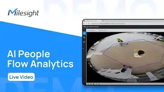 Milesight Demo: AI People Flow Analytics