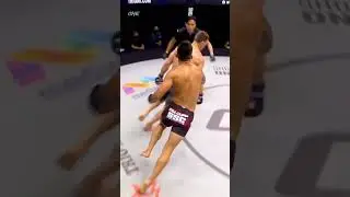 UFC #mmafighter #sanda #wushu #boxing