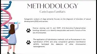 Clinical cytogenetics of the dog: A review​