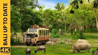 Safari Tours in Bali Safari & Marine Park Indonesia 2021