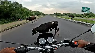 Kanniyakumari to Sivakasi | interceptor650 | gokulg