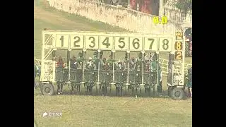 Delhi Race No 2 The Ponza Plate Div l/ Win - BHUJANG / Jockey - S G Prasad / #video  2026