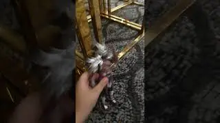 Fix the damn door