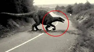 Shocking Times Extinct Animals Got Caught on Camera!