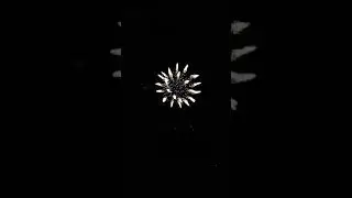 Feu d'artifice 50 ans de la grande motte France
