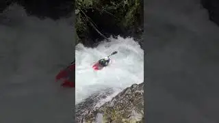 Doble Drop Palguin Alto