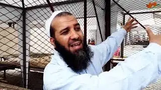السوق 