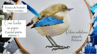 Como bordar un pájaro, pintar con hilo Ratona Australiana franjeada Cuerpo parte inerior parte 1.