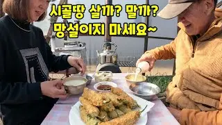 시골땅 살까? 말까? 망설이지 마세요~ / 목조온실에서 희희낙락 / 연못만들기 마감 작업 / 바싹한 고추튀김, 매콤한 닭볶음탕, 얼큰한 전찌개