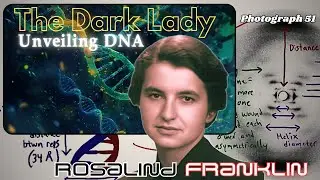 Rosalind Franklin: The Woman Who Discovered DNA&rsquo;s Secret