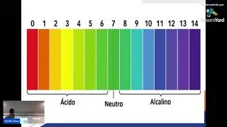 AULA: Prote&iacute;nas