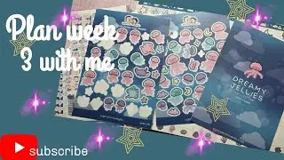 Plan with me in my Hubman and Chubgirl planner 