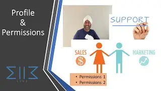 Data Security 2 - Salesforce Profile and Permissions Sets &ndash; Sales and Support Operation
