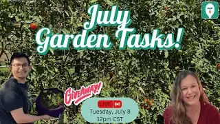 July Garden Guide: Tasks, Tips & What to Plant Now!